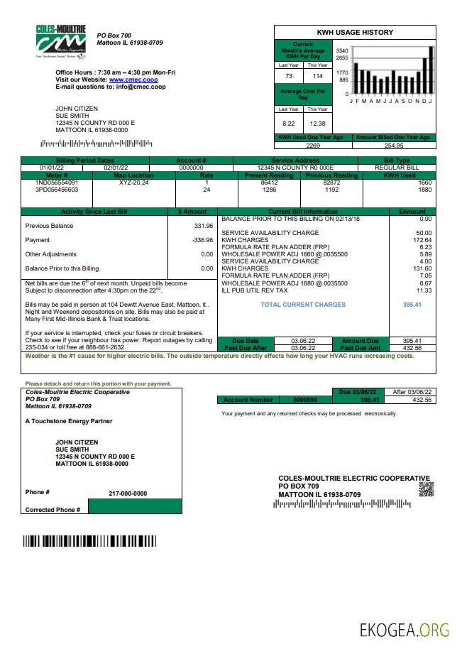 USA Coles – Moultrie utility bill template in Word and PDF format